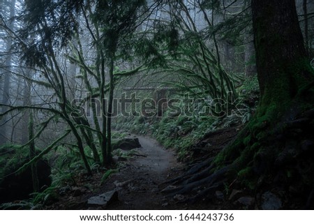 Similar – Image, Stock Photo Lost |In the fog on dense snowy landscape the silhouette of a man
