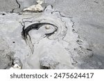 Mud Volcano at Baratang, Andaman ,India 