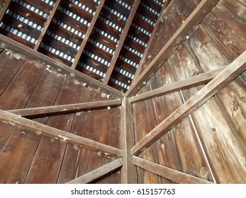 Mud Wasp Nests In Barn Rafters