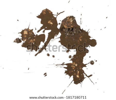 Mud, wet dirt stains texture isolated on white background, top view with clipping path
