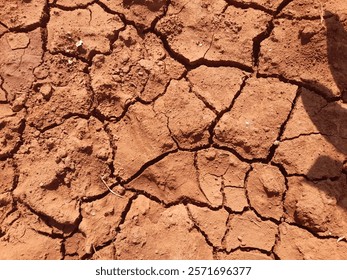 Mudcrack drying breaks down clay geology in arid environments.
