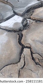 The mudcrack texture of the ground