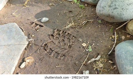 A Muddy Boot Print In The Morning Sun.