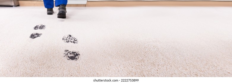 Muddy Carpet Footprint. Mud Footprints Indoors On Floor