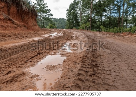 Muddy country road with traces