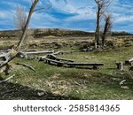 Muddy Creek Campground, Mormon Pioneers July 9 1847 Wyoming.