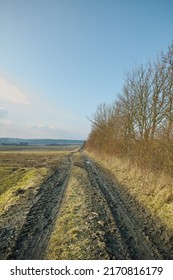 Muddy Dirt Road In The Countryside Near A Grass Field In Denmark. Panorama Landscape Of A Vanishing Track Through Rural Farmland In Fall Against A Cloudy Horizon. Peaceful And Serene Nature Scene