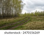 Muddy dirt road in the countryside in spring