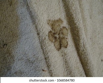 Muddy Dog Print On Towel