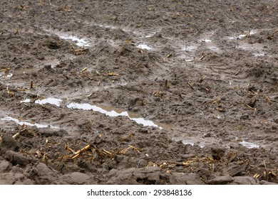 Muddy Field