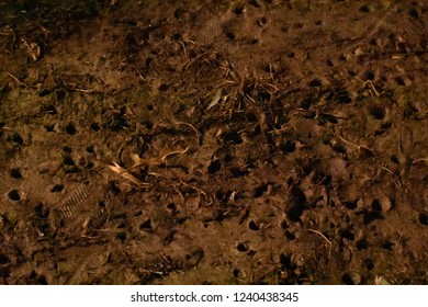 A Muddy Field With Footprints And Cleat Holes.