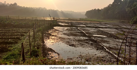 Muddy fields where everything grows