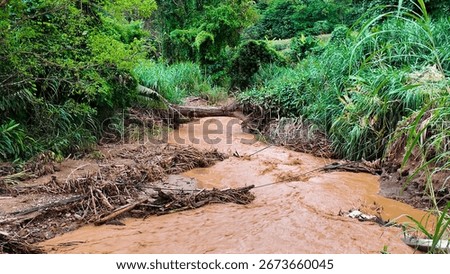 A muddy flash flood stream flowing through the forest, carrying debris and tree branches after heavy rainfall.