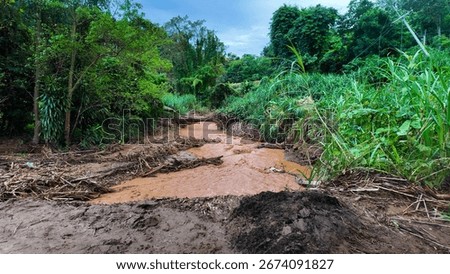 A muddy flash flood stream flowing through the forest, carrying debris and tree branches after heavy rainfall.
