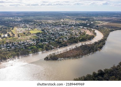 Muddy Flood Waters From The  Darling River Merge With The Mighty Murray River At The Town Of Wentworth, New South Wales.