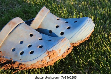 gardening crocs