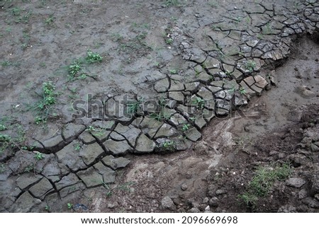 muddy ground by the river that has started to dry up