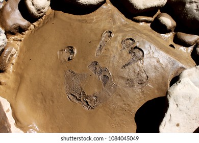 Muddy Hand Print In Lowry Waters River In Joes Valley Utah