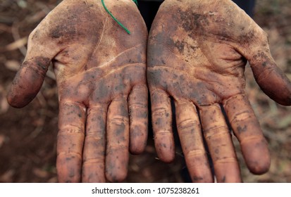 Muddy Hands From Gardening