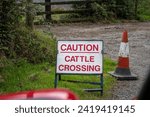 Muddy Irish "Caution, Cattle Crossing" traffic sign is descriptive of the largely rural lifestyle in Ireland.