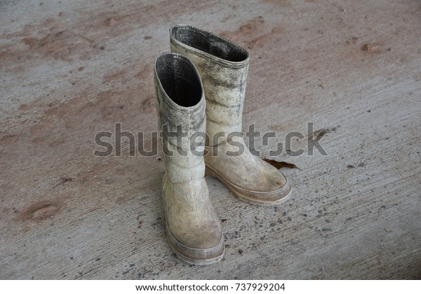 concrete gumboots