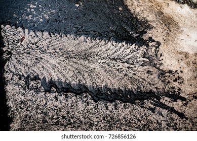 Muddy Parking Lot Ground Soak With Black Dirt.