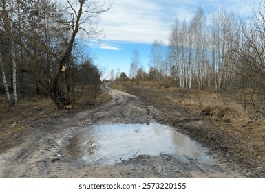 A muddy patch at the beginning of winter, a puddle on a forest road covered with ice