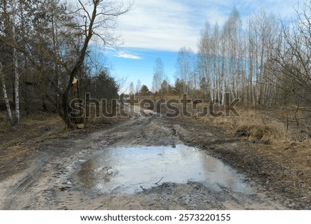 A muddy patch at the beginning of winter, a puddle on a forest road covered with ice