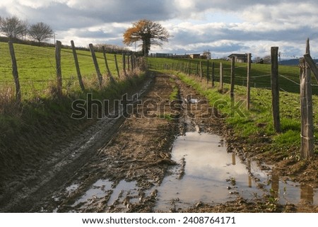 muddy path in autumn in the countryside after rain, puddles and muddy fields