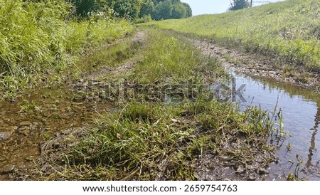 A muddy path meanders through a grassy area, with puddles reflecting the sky. Green vegetation lines the way under sunlight.