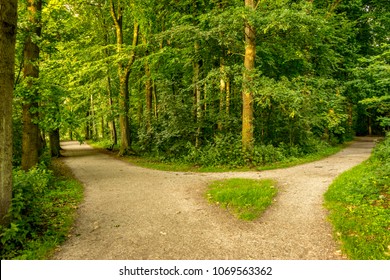 Two Paths Images, Stock Photos & Vectors | Shutterstock