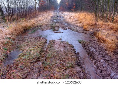 Muddy Path With Puddles