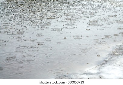 Muddy Puddle In The Rain