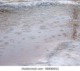 muddy puddle in the rain