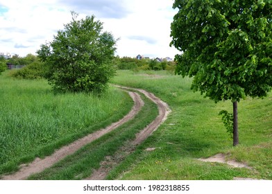 Muddy road in the grass meadow background
