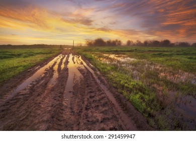 Muddy Road Through The Wetlands Of Louisiana