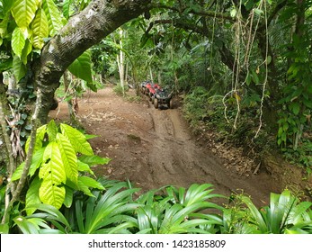 Muddy Tracks For ATV Rides In Bali, Indonesia 