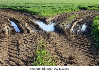 Muddy Tractor Tire Tracks Into A Farmland Crop Field.