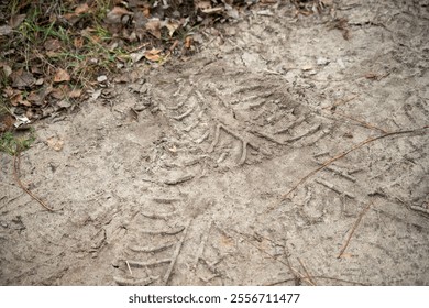 A muddy trail with some leaves scattered on the ground. The trail appears to be worn and has a somewhat worn-out appearance - Powered by Shutterstock