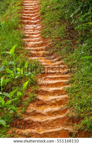 Similar – Image, Stock Photo jungles Virgin forest