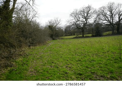 A muddy walking path meanders through a bright green grassy field, surrounded by bare winter trees and thick bushes under an overcast sky in the rural landscape of Wessington, England.