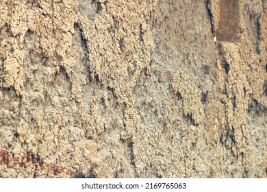 Muddy Wall Texture Against A Blurred Background. Copy Space. Bright Sunny Day.