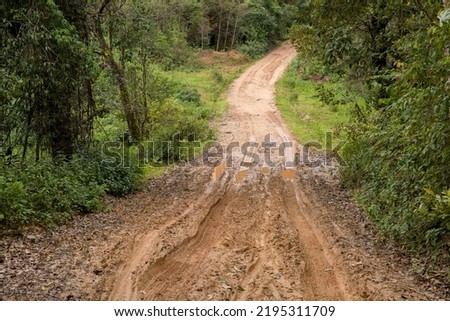 Muddy wet countryside road in Chiang Mai, northern of Thailand. track trail mud road in forest nature rural landscape. brown clay puddle way transport in country