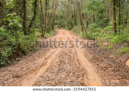 Muddy wet countryside road in Chiang Mai, northern of Thailand. track trail mud road in forest nature rural landscape. brown clay puddle way transport in country