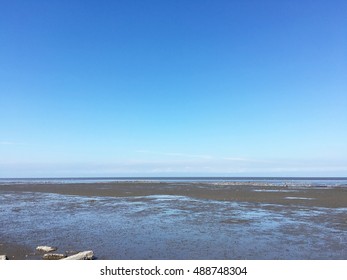 Mudflat in autumn on blue sky background - Shutterstock ID 488748304