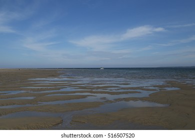 Mudflat At Parker River National Wildlife Refuge, Massachusetts