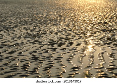 16,772 Mudflat Stock Photos, Images & Photography | Shutterstock