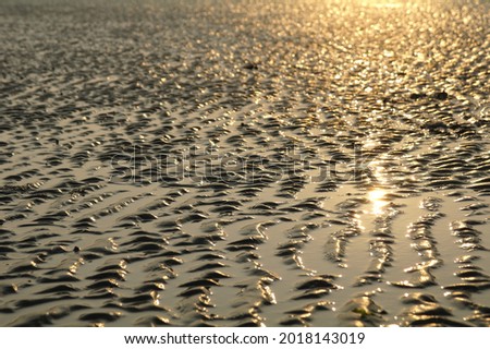 The mudflats are shining in the sunset.