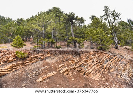 mudslide and landslide hazards