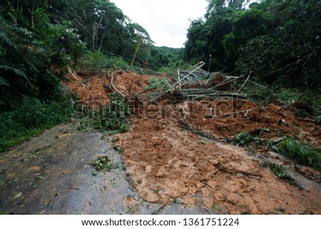 Mudslide and trees blocking a road on the coastal city of Sao Sebastiao, Brazil.